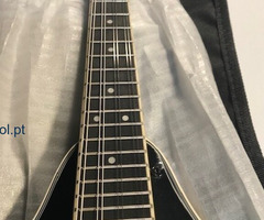 Bandolim novo em Caixa de origem